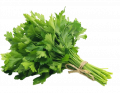 Петрушка