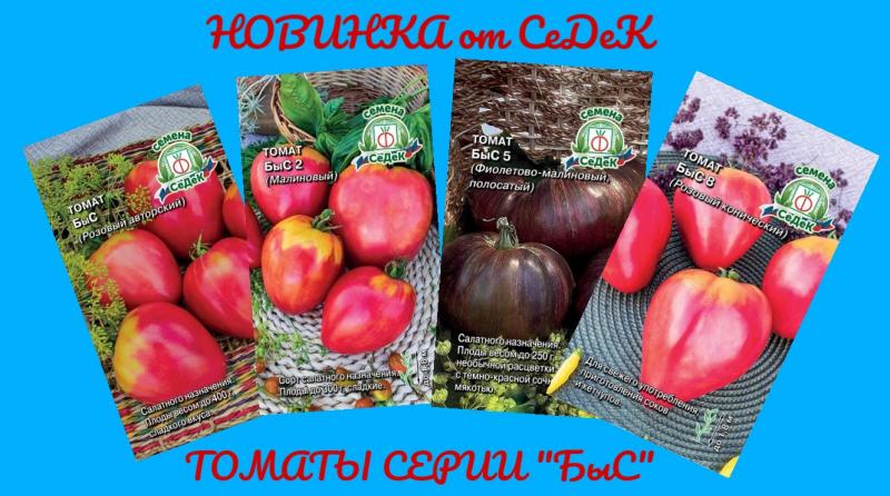 Серия томатов "БыС"