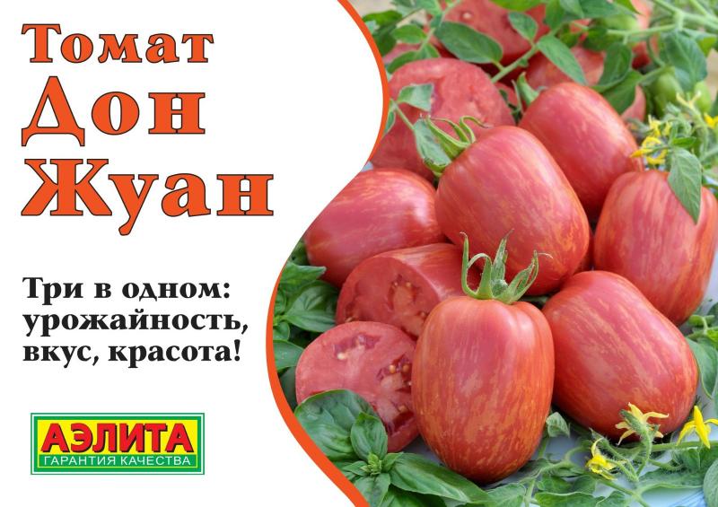 Томат Дон Жуан