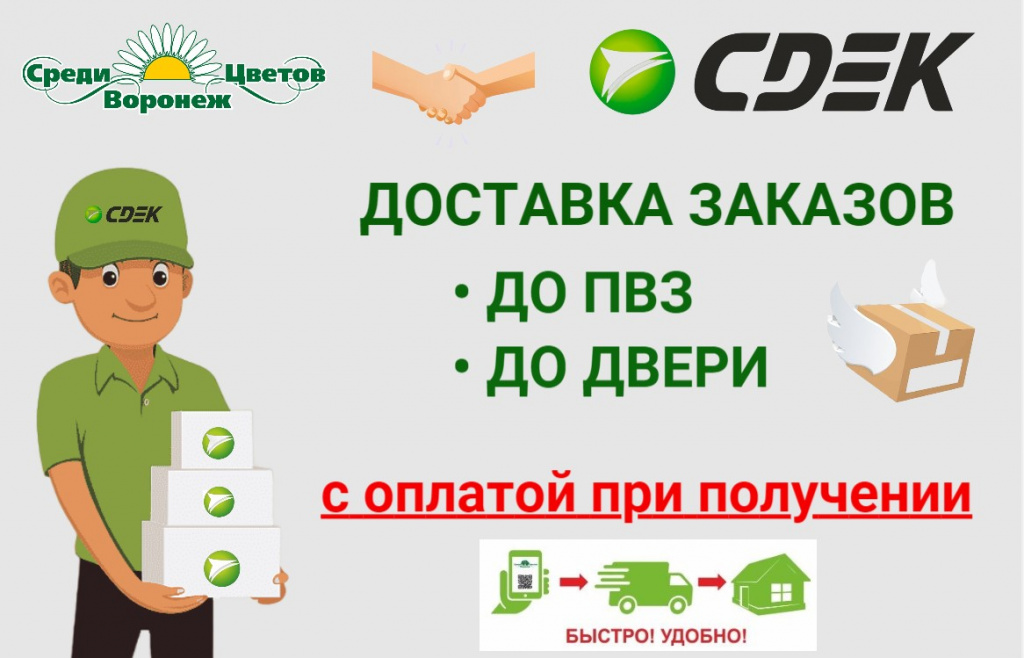 СДЭК.jpg