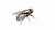 Средства борьбы с комарами, клещами, мухи, осы и др.